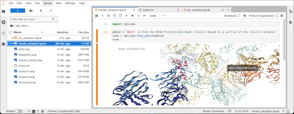 The JupyterLab notebook editor, with an open notebook showing an interactive view of the insulin receptor